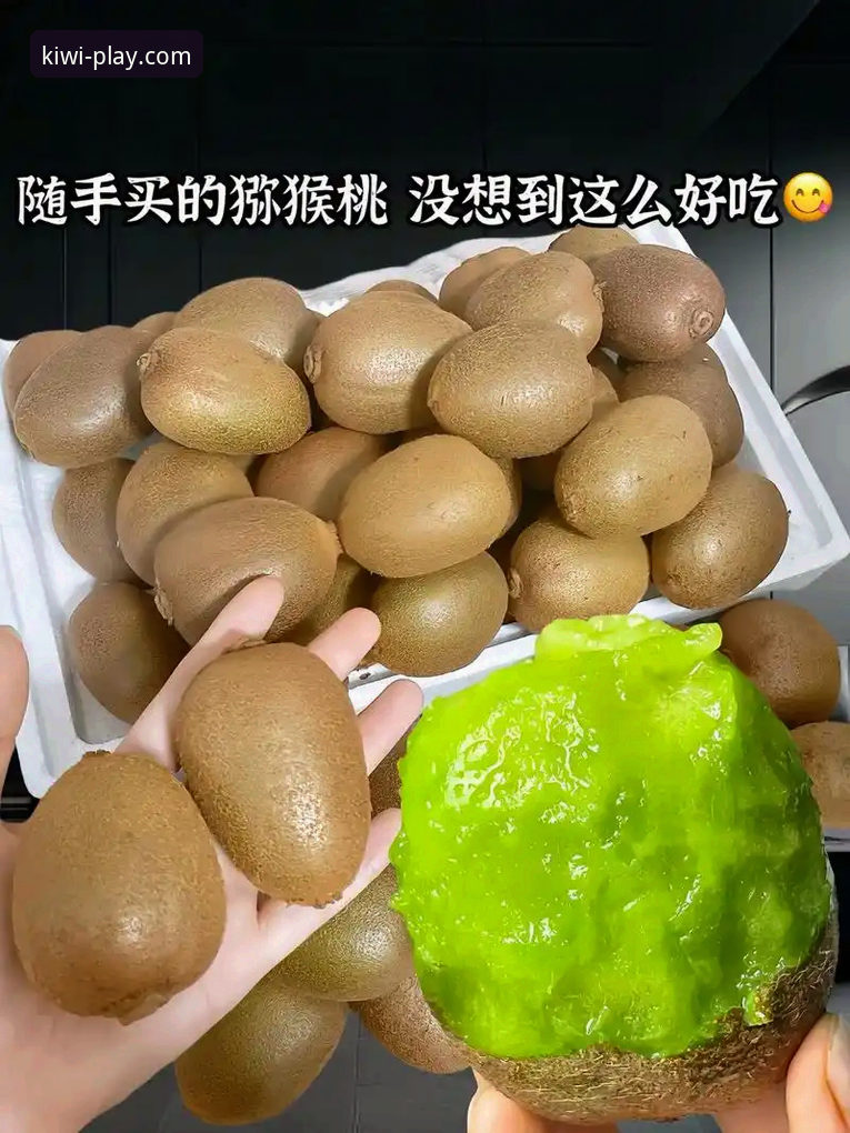 奇异果娱乐高品质服务最新版深度评测：从新手到高手的完整上手指南
